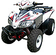 sym quadlander 200
